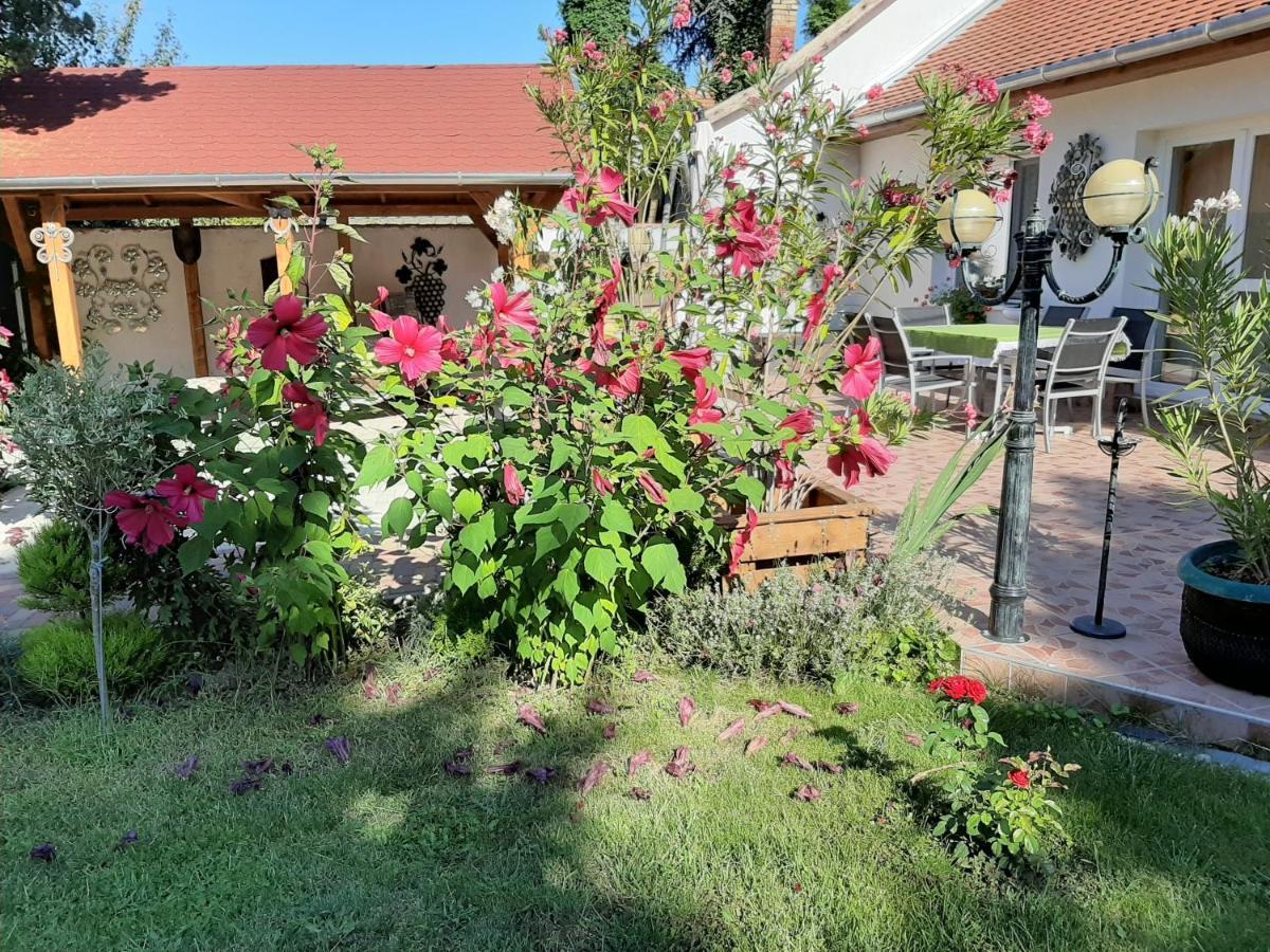 Elizabeth Apartman Tokaj Dış mekan fotoğraf